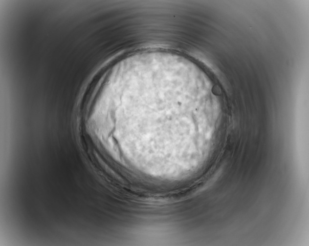 X0000088060933200706081646