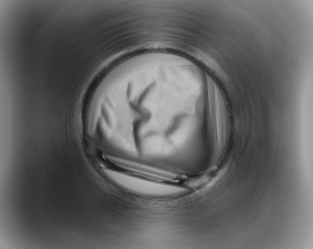 X0000088060934200706081646