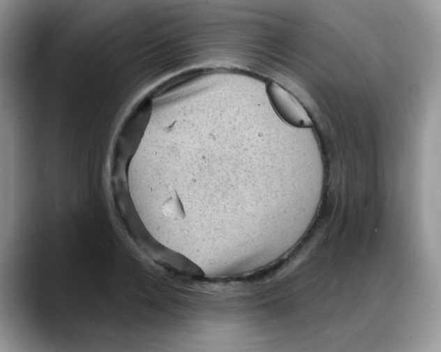 X0000088060936200706081646