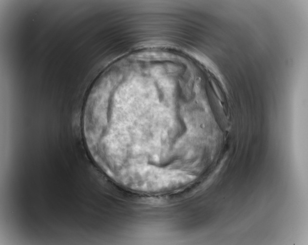 X0000088060937200706081646