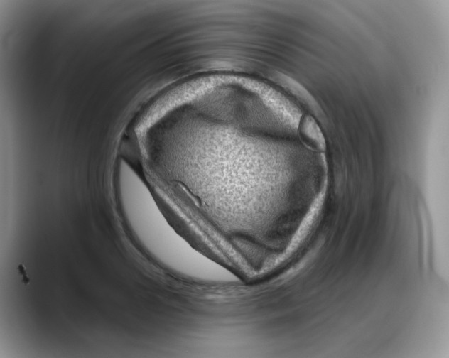 X0000088060938200706081646