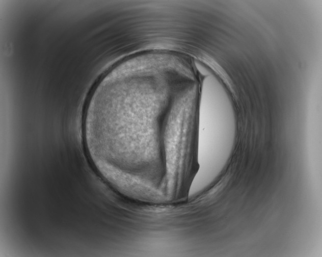 X0000088060939200706081646