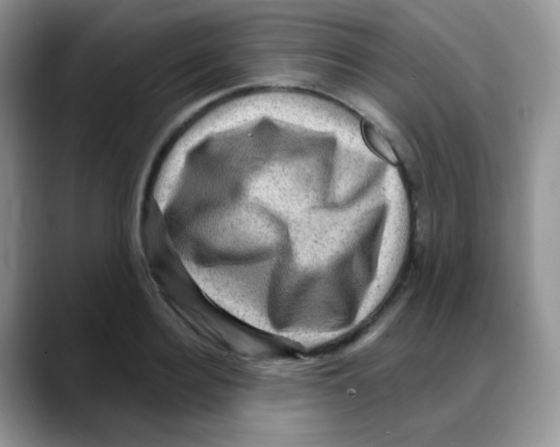 X0000088060940200706081646