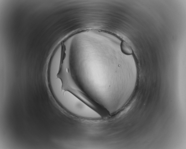 X0000088060941200706081646