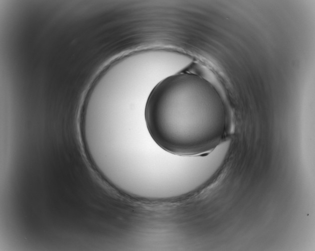 X0000088060942200706081646