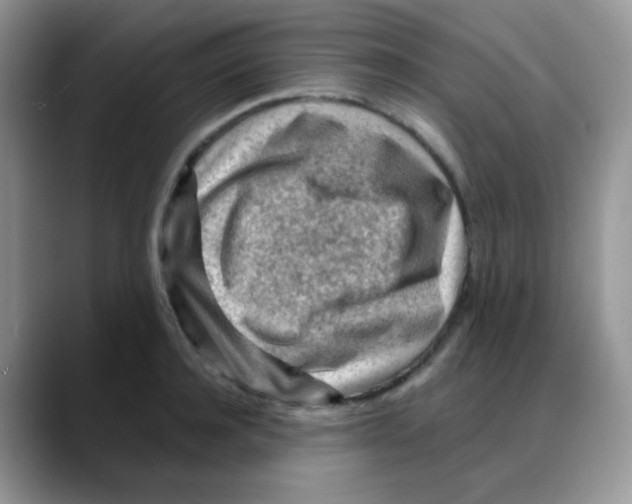 X0000088060944200706081647