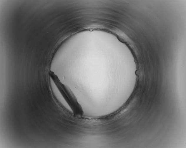 X0000088060945200706081647