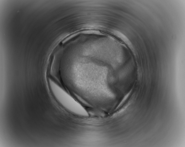 X0000088060946200706081647