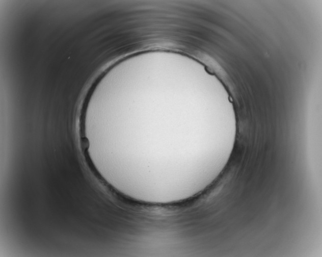 X0000088060947200706081647