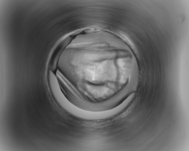 X0000088060948200706081647