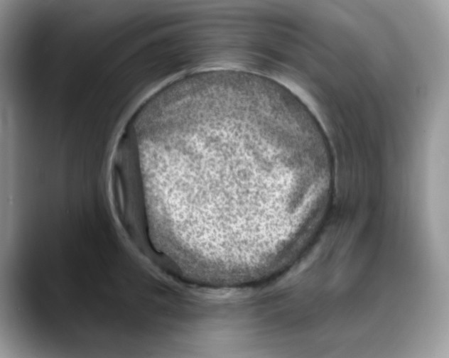 X0000088060949200706081647