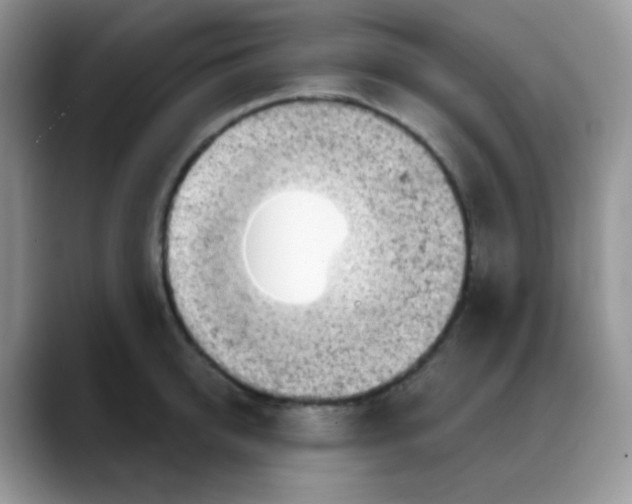 X0000088060950200706081647