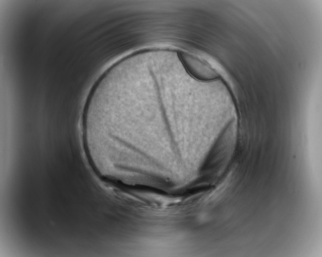 X0000088060951200706081647