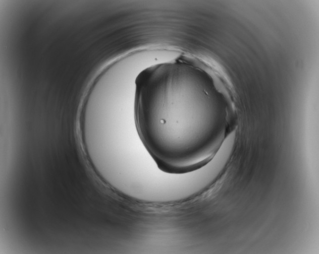 X0000088060952200706081647