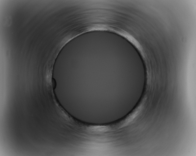 X0000088060953200706081647