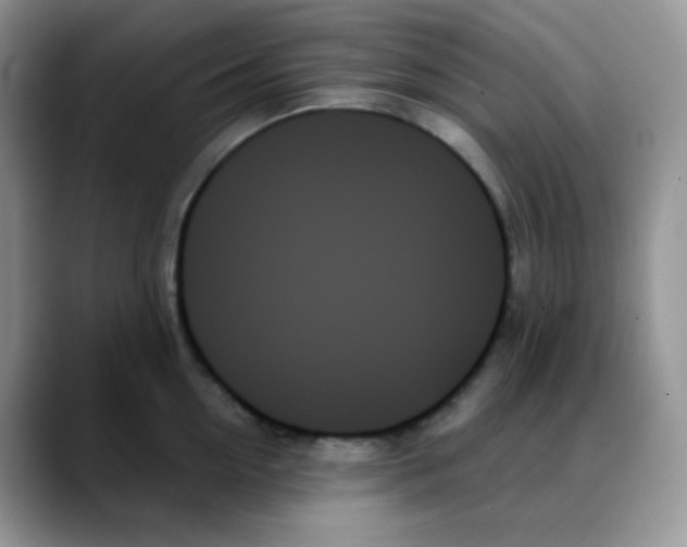 X0000088060954200706081647