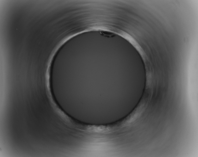 X0000088060955200706081647