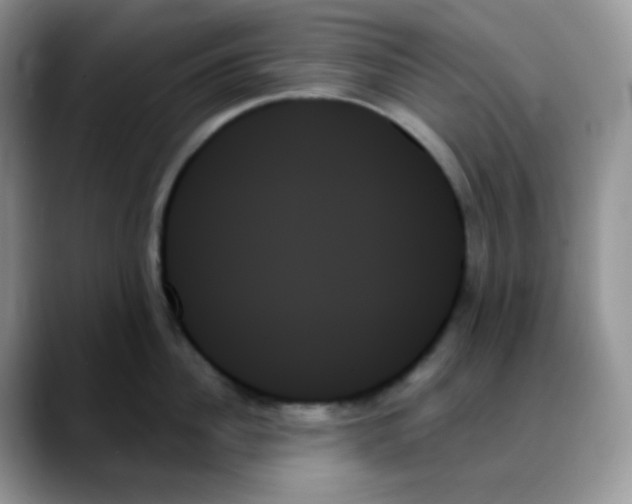 X0000088060956200706081647