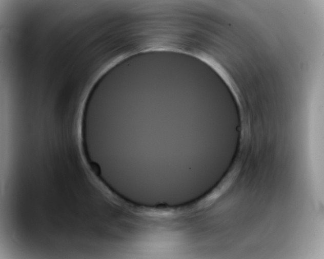 X0000088060957200706081647