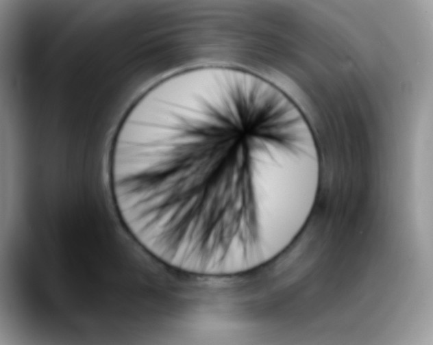 X0000088060958200706081647