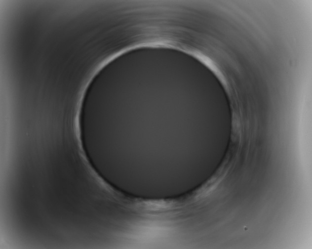 X0000088060959200706081647