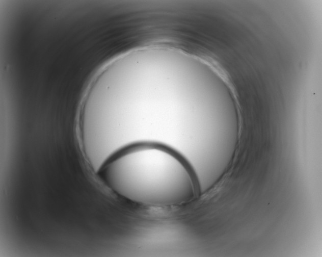 X0000088060960200706081647