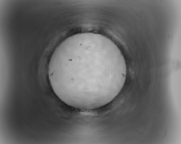 X0000088060961200706081646