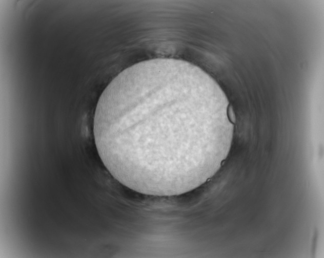 X0000088060962200706081646