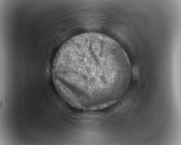X0000088060963200706081646