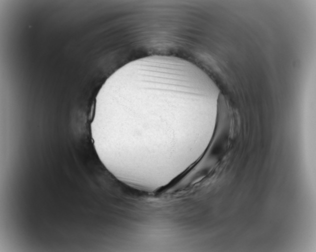 X0000088060964200706081646