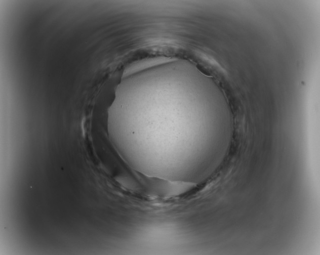 X0000088060965200706081646