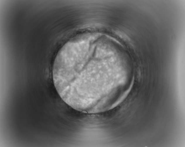 X0000088060966200706081646