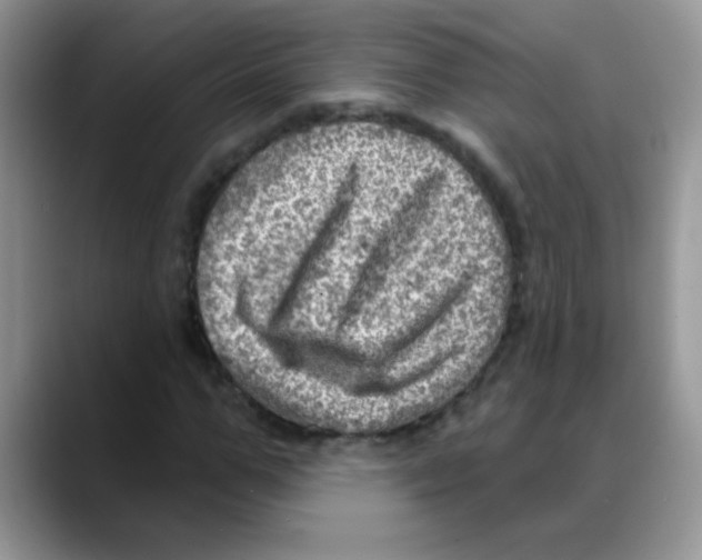 X0000088060967200706081646