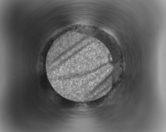 X0000088060968200706081646