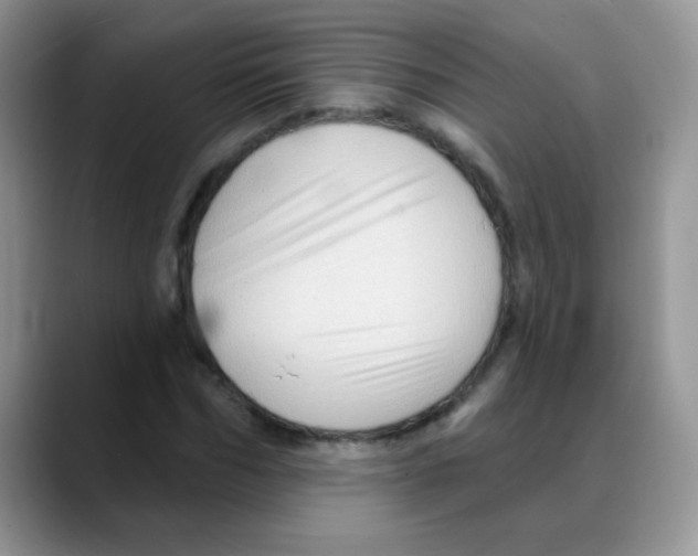 X0000088060970200706081646
