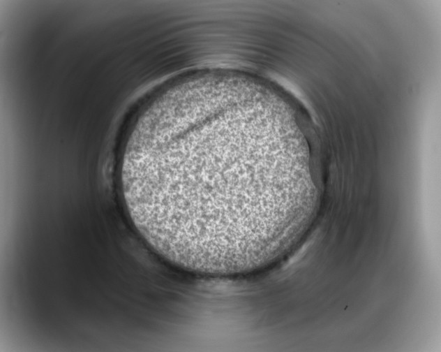 X0000088060971200706081646