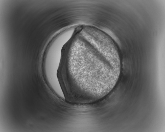 X0000088060972200706081646