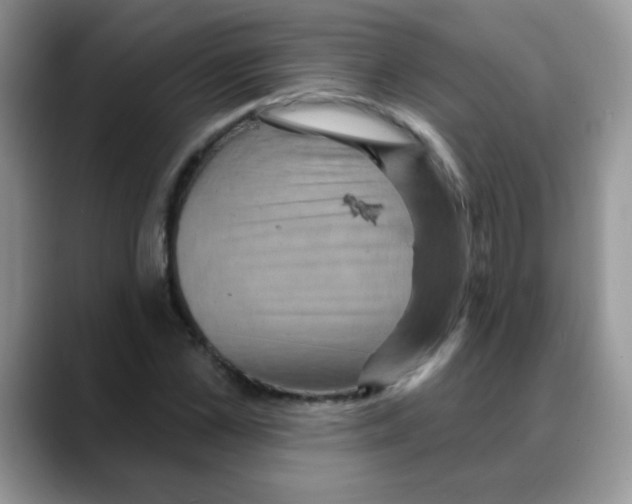 X0000088060973200706081646