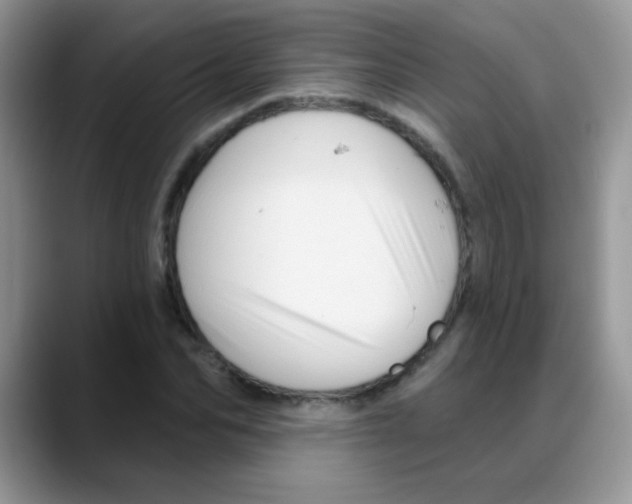 X0000088060974200706081646