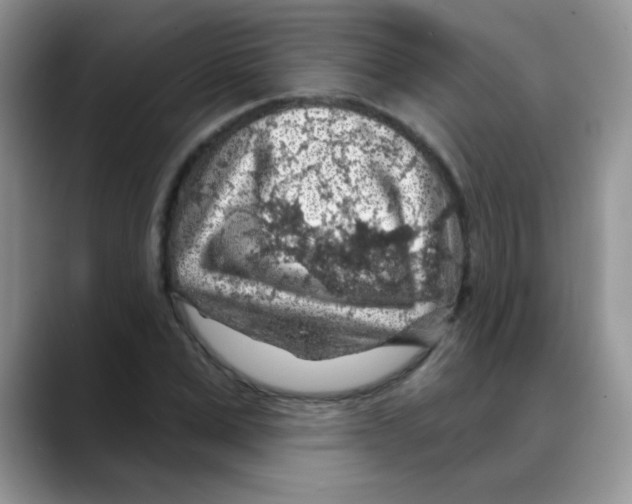 X0000088060975200706081646