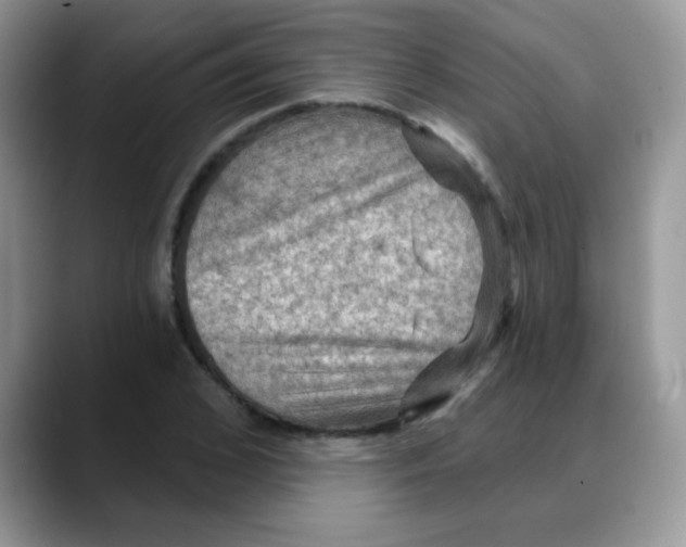 X0000088060976200706081646