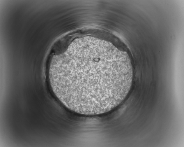 X0000088060979200706081646