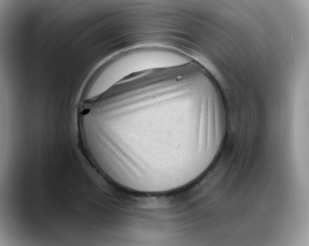 X0000088060980200706081646