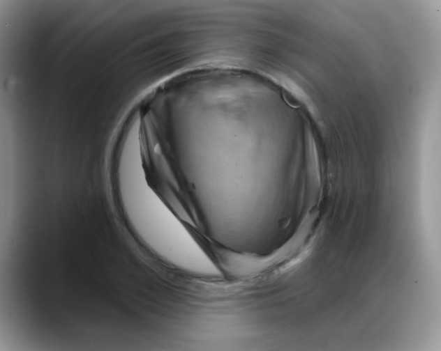 X0000088060981200706081646