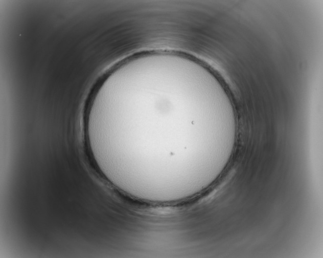 X0000088060982200706081646