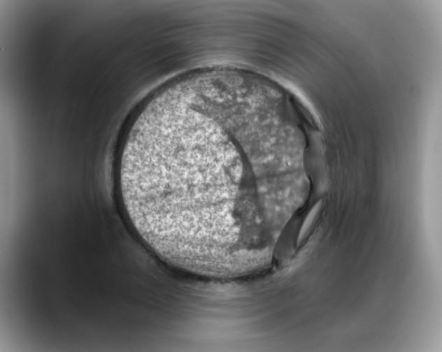 X0000088060983200706081646