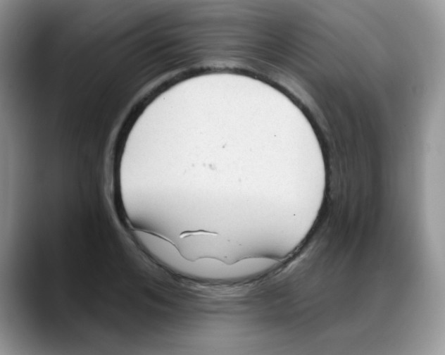 X0000088060984200706081646