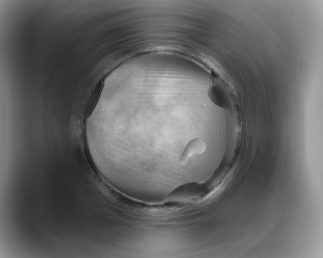 X0000088060985200706081646