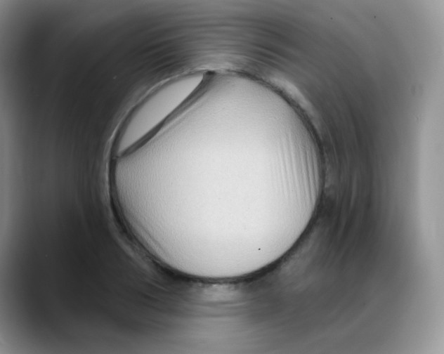 X0000088060986200706081646