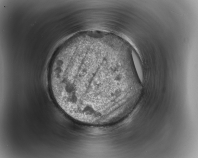 X0000088060987200706081646